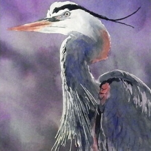 C. Dreyer_Island Heron_Watercolor_300dpi
