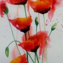 W. Cunico_Poppin Poppies