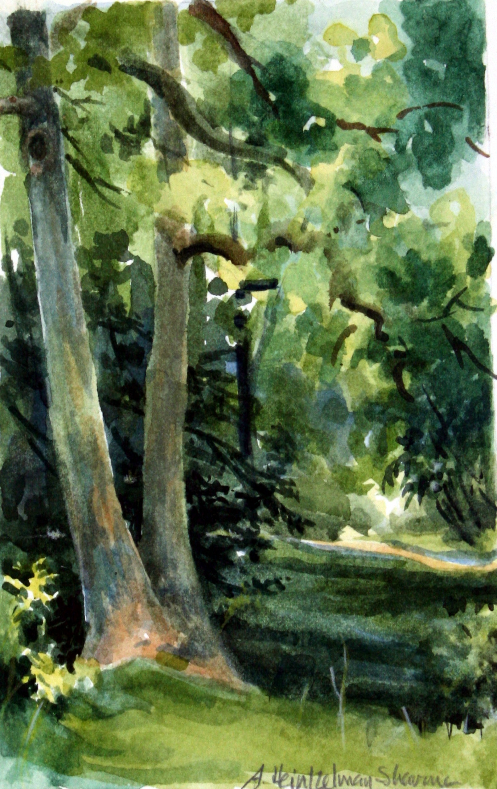 Ottawa Glade