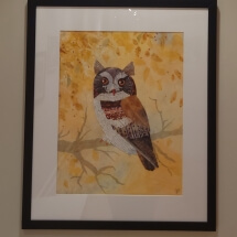 13 Dye, Jo Owl Collage 