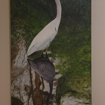 33 Anderson, Jane White Heron Acrylic 