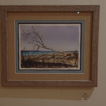 46 Guazzo, Dana Bones Watercolor 