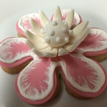 &quot;3D Flower Cookie Example 1&quot; by Jami Wright
