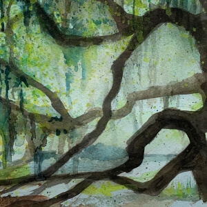 &quot;Angel Oak&quot; Watercolor by Jan Ross
