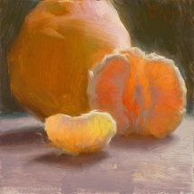 Clague, Adam_Grapefruit Radience_Oil_6inx6in on panel