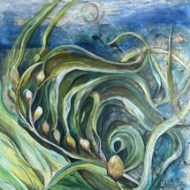 Blahut_Kelp Forest