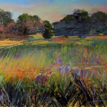 Lowcountry Symphony, Pastel