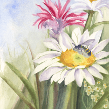 Cunico, Wendy_Summer Morning