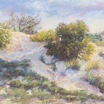 &quot;Shifting Sands&quot; a Pastel by Lisa Regopoulos