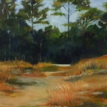 &quot;On the Way Home&quot; with Barb Snow, Oil
