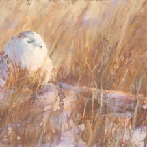 &quot;Sleeping and Waking&quot; a Pastel by Lisa Regopoulos
