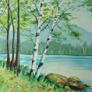 Jan Ross-Birches by the bay 2