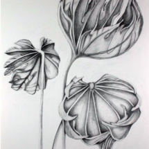 &quot;Liminal Spaces Series,&quot; Graphite Drawing by Allison Luce