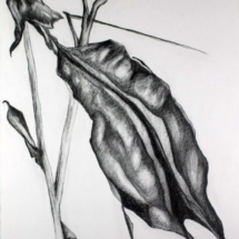 &quot;Liminal Spaces Series,&quot; Graphite Drawing by Allison Luce