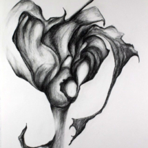 &quot;Liminal Spaces Series,&quot; Graphite Drawing by Allison Luce