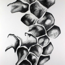 &quot;Liminal Spaces Series,&quot; Graphite Drawing by Allison Luce