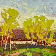 Jacobsen, Eric_Spring_Oil