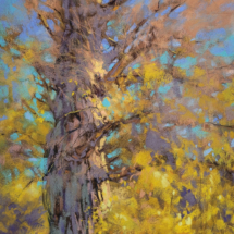 &quot;Draped in Autumn&quot; by Barbara Jaenicke