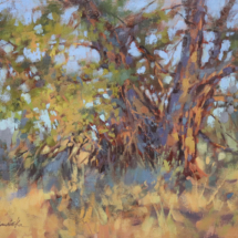 &quot;Juniper in Afternoon Light&quot; by Barbara Jaenicke