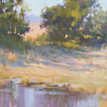 &quot;Marsh Shadows&quot; by Barbara Jaenicke