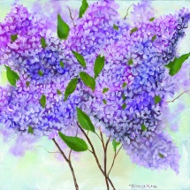 Lilacs