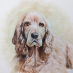 "Cooper" by Maureen Scullin